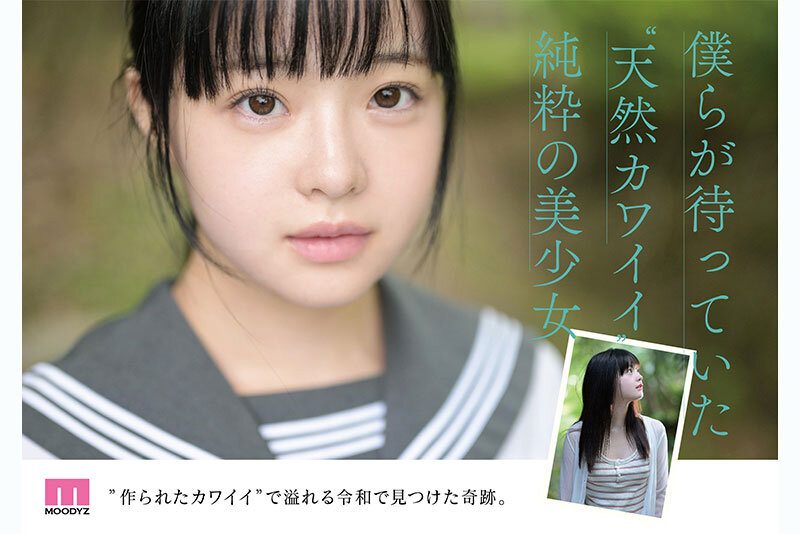 mida00493 sample 3
